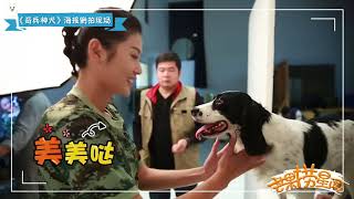 《奇兵神犬》精彩看点： 独家探班：沙溢实力演绎“抱紧自己” 赵一诺逗狗狗玩超暖心  Dog Partner【湖南卫视官方频道】
