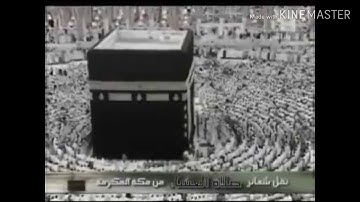 المصحف المرتل : سورة التكوير