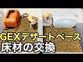 レオパの床材をGEXデザートベースへ交換【爬虫類】