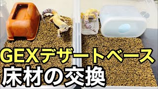 レオパの床材をGEXデザートベースへ交換【爬虫類】