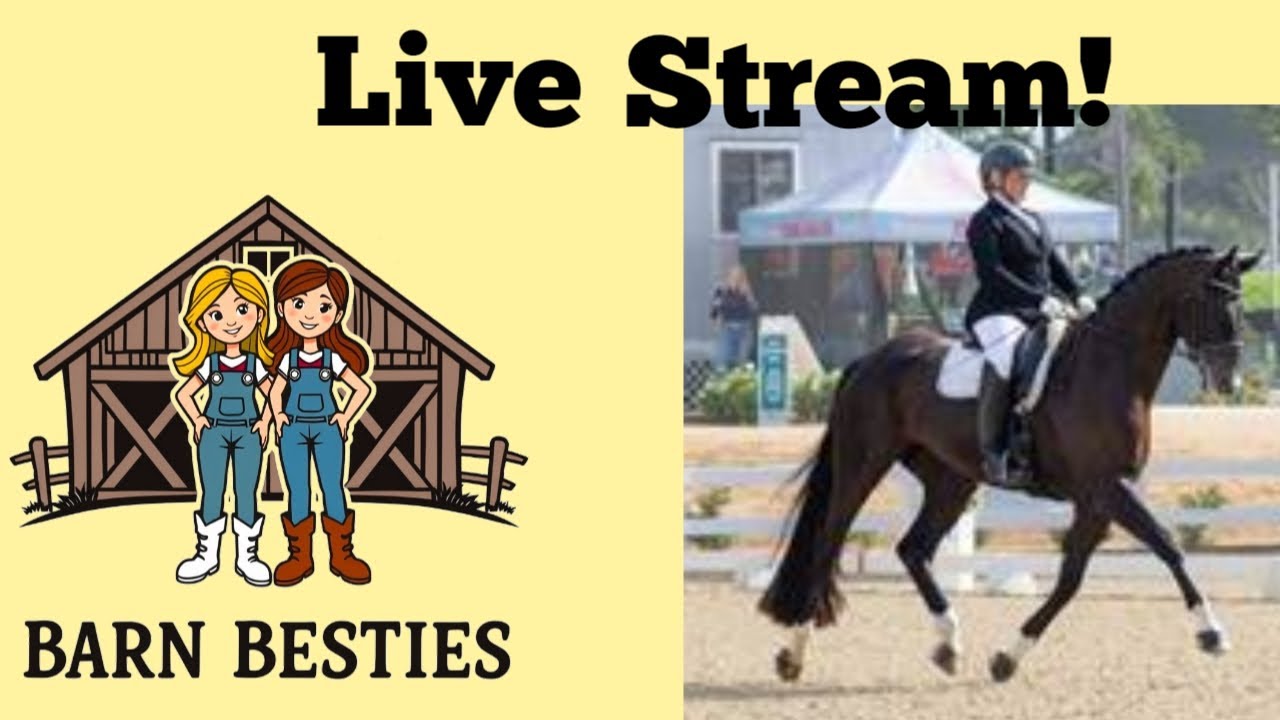 Mary's Tack & Feed | Barn Besties