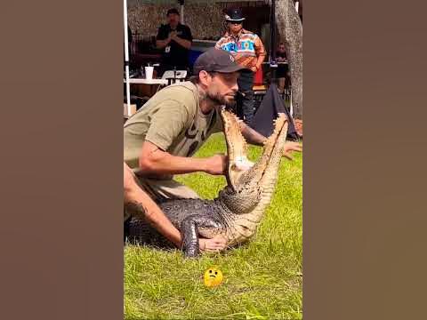 florida man vs crocodile #trendingshorts #crocodile #vs #man #viral # #