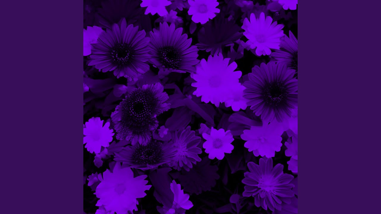 YouTube에서 Dark Beach (Speed Up) 보기 YouTube에서 Dark Beach (Speed Up) 보기