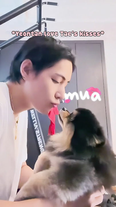 How Taehyung And Jungkook Reacted To Their Dogs’ Kisses 🤣🤣 #shorts #bts #taehyung #jungkook