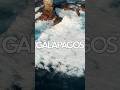 Galápagos: The Islands That Changed Science Forever #shorts