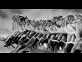 Girls Dancing on Planes (Vintage footage)