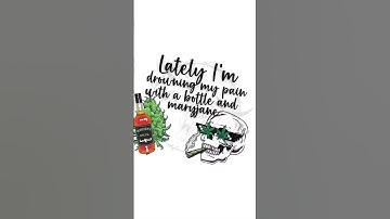 Thumbnail of JellyRoll. Bottle and MaryJane #music #favorite #jellyroll