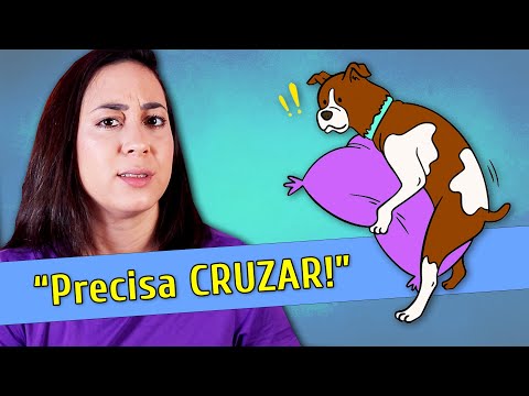 Vídeo: A cistite causa incontinência em cães?