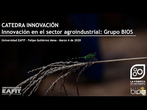 Innovación en el sector agroindustrial: Grupo Bios
