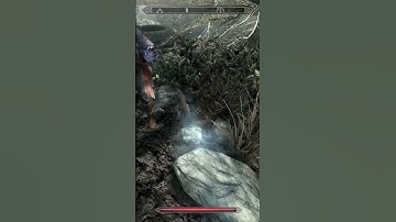 What the College of Winterhold DOESN