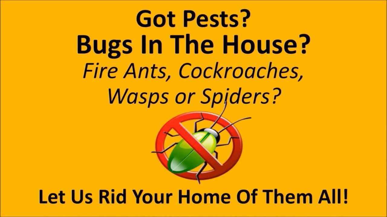 Pest Control Charleston SC Termite Bond inspections Charleston Pest