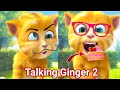My Talking Ginger 2 Gameplay talking ginger eat with 
