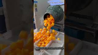 The Satisfying Production Process of Cheese Squishy Toys #process #squishy #toy #manufacturing