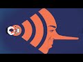 Anti-Intellectualism and Its Impacts