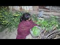 Nepali village || Cooking green vegetables in the village