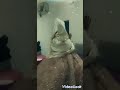 كوافير الوفيرا عرايسنا كيوت وناعمة 0599146260 للحجز