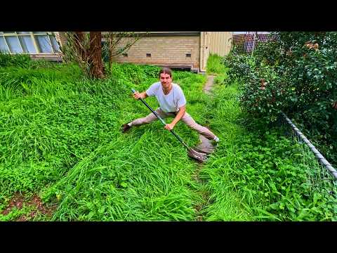 No One Would TOUCH This Yard