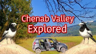 Bird Photography - Cheenab K Pass Khubsurat Area Ayoub Nayiak