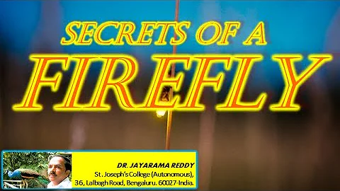 Secrets of Firefly Dr  Jayarama Reddy | Glowworms | lightning bugs | Lampyridae | Bioluminescence