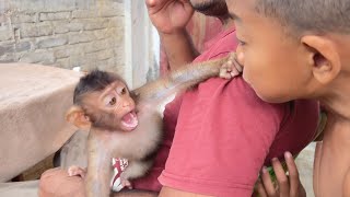 "Fresh from Bath, Baby LiLi Starts a Playful War!"