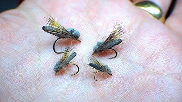 Tying a Detached Bodied Balloon Caddis (Grannom) with Davie McPhail