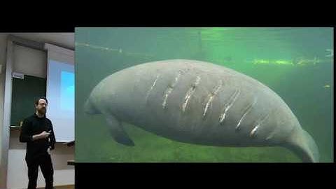 Statistical Rethinking Fall 2017 - week05 lecture09