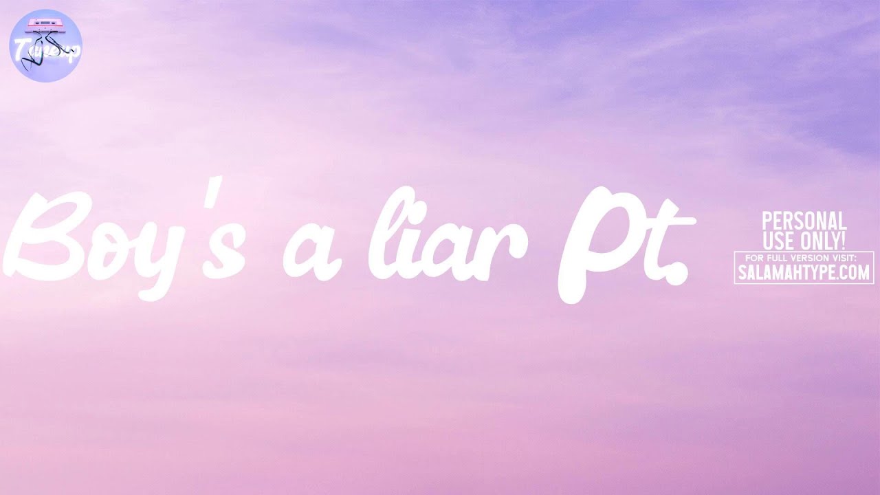 PinkPantheress - Boy's a liar Pt. 2 (Lyrics)