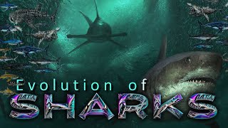 The Evolution of true SHARKS