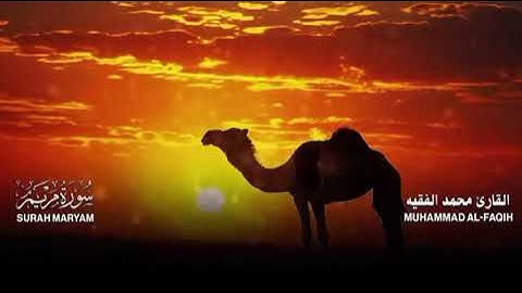 تلاوه ملكوتية تهز القلوب مؤثرة جداً تاخذك الى عالم اخر لشيخ محمد الفقيه اللهم صلي على النبي