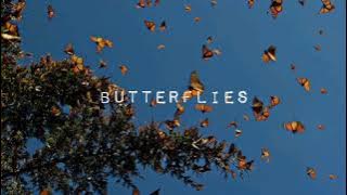 Butterflies - Kolohe Kai (Lyrics)