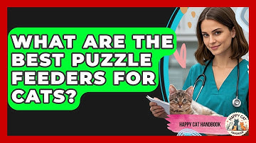 What Are The Best Puzzle Feeders For Cats? - Happy Cat Handbook