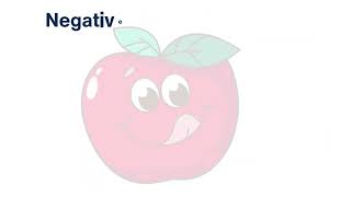 Dutch sentence formations Part 2| Learning Dutch for English Speakers
