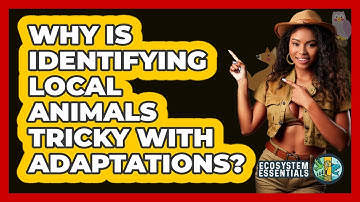 Why Is Identifying Local Animals Tricky With Adaptations? - Ecosystem Essentials