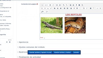 Editor html Moodle ADD