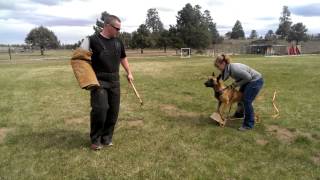 Object guard exercise