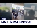 Massive brawl breaks out at Torrance mall