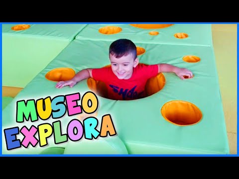 Video: Museo Per Il Parco