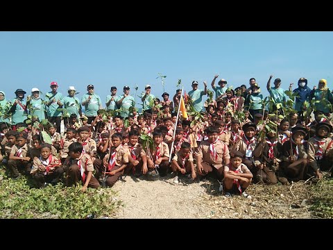 MANTAP! RATUSAN SISWA TANAM MANGROVE DI PANTAI PANIMBANG | Liputan Kraka...