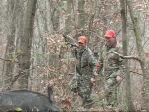 Hog Hunt Mann Mountain Outfiters Hog charge, Mathews Bow hunt, Ken Reed Productions