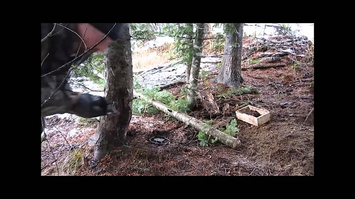 Mountain Man Journals 2013-1014 Trapping Season Vid 10