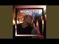 Secret File 