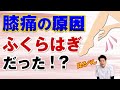 【たった1分】膝痛の原因はふくらはぎ?!簡単マッサージ方法|石川県ハレバランス整体院