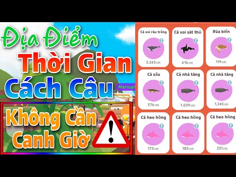 Video: Cách Câu Cá Mà Không Cần Que