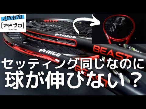 スイミングファステスト【絶版】 ゴーセン GOSEN OG-SHEEP MSフォース テニスガット ストリング