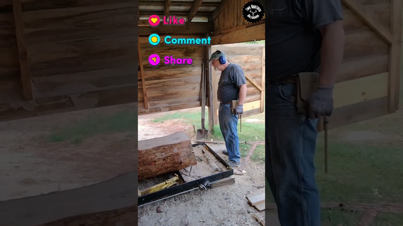 Close up! #shortvideo #forest #sawblade