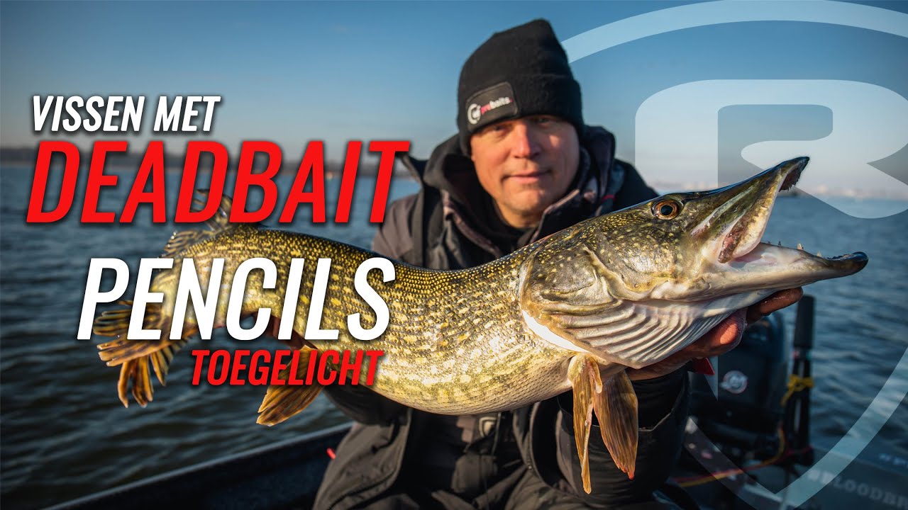 Snoek vangen met dead bait pencils vanuit de boot - Mark Verhoeven |  Roofvissen