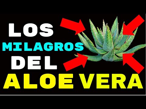 Vídeo: Aloe Vera Para La Cara: 10 Beneficios, Efectos Secundarios Y Más