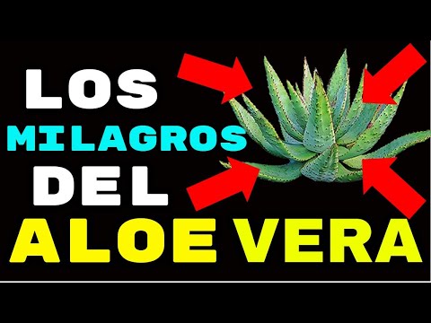 ? 10 Increíbles Beneficios Del ALOE VERA ? Una Milagrosa Planta Medicinal.