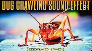 Bug Crawling Ambience Sound Effect