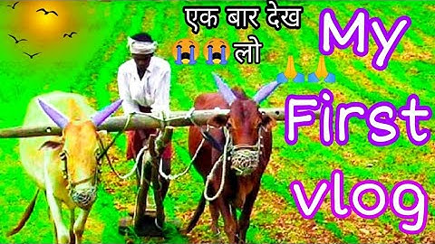 my first vlog 🔥3rd lahar @ActiveRahul @bablubannavlog